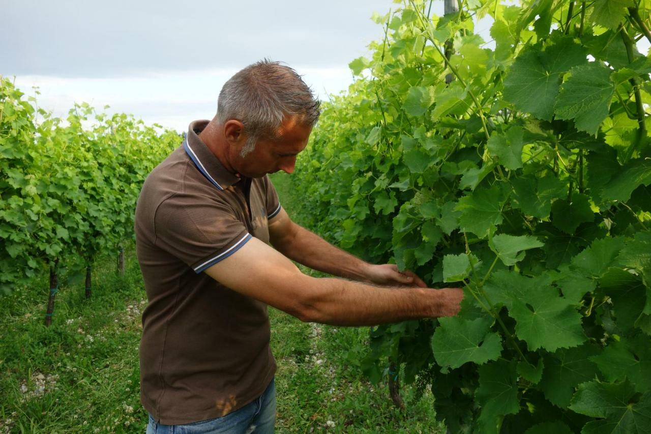 Agriturismo Le Giarine 福利亚诺 外观 照片