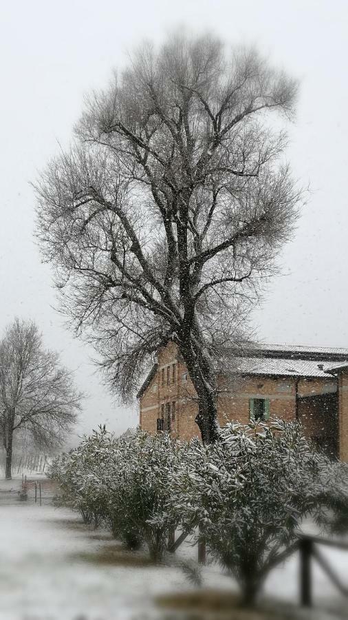 Agriturismo Le Giarine 福利亚诺 外观 照片